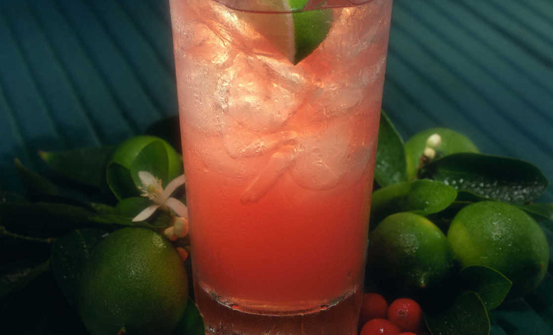 Summer Soda on a wooden surface with lime and other garnish
